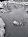 139866572_2882940521994810_3986901035927782296_o-1.jpg