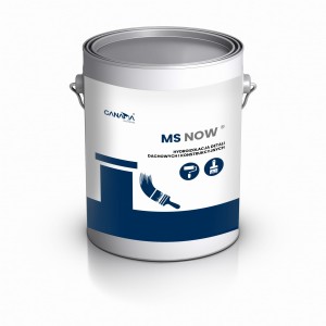 MS NOW 6 KG ZABEZPIECZENIE DETALI DACHOWYCH