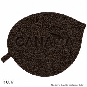 Pigment Thermocork G01 CODE 3  R-8017