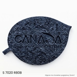 Pigment Thermocork G01 CODE 13  S 7020-R80B